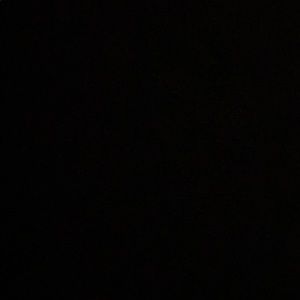 Meet your Posher, Dominae